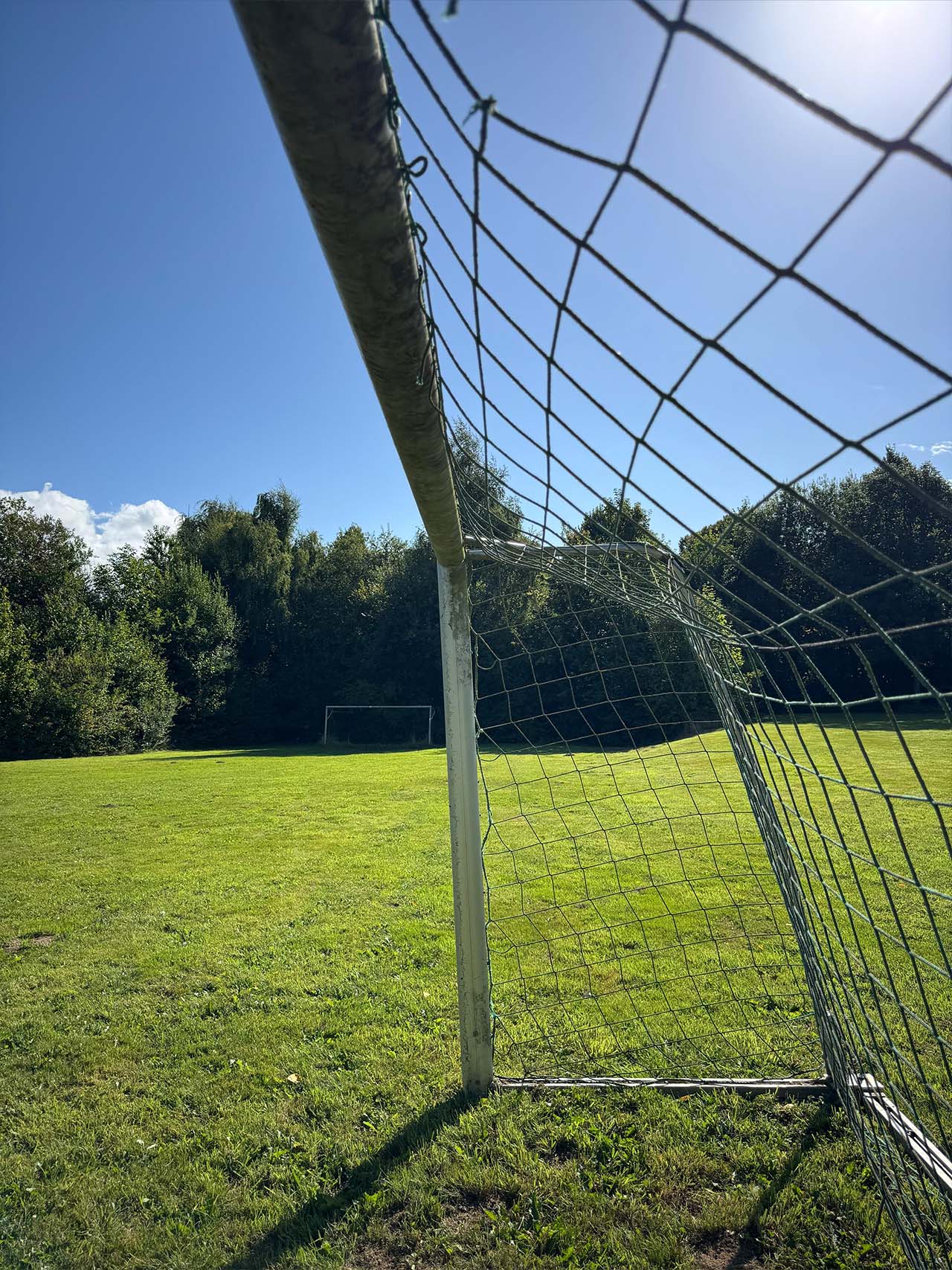 Bürgerwiese Obschwarzbach 1