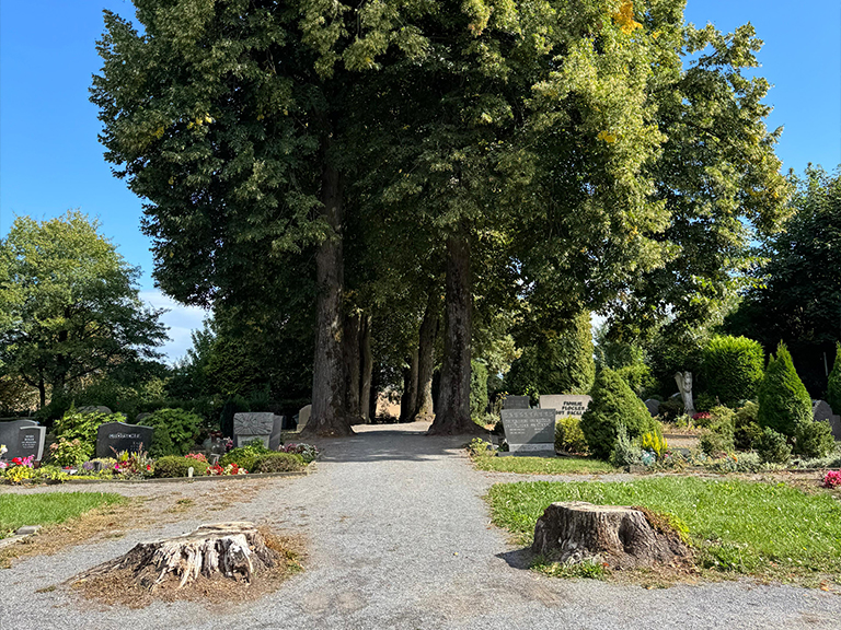 Friedhof Obschwarzbach