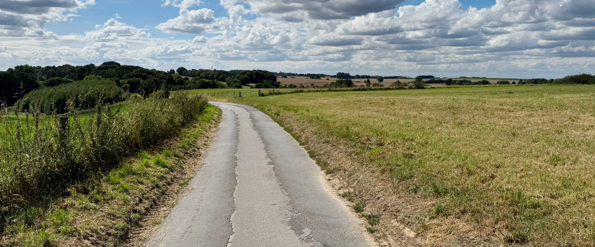 Kontakt Bild