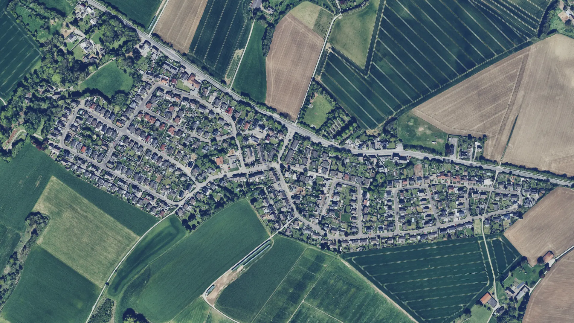 Vorstand und Beirat